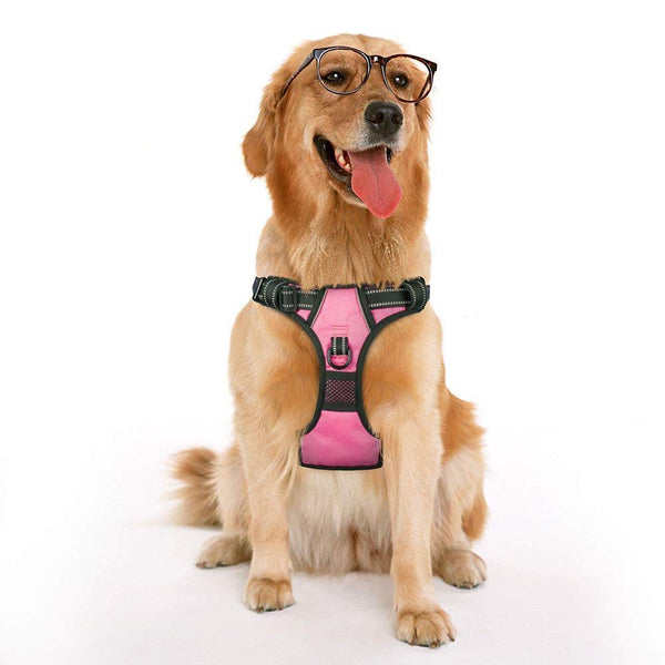 PoyPet No Pull Dog Harness