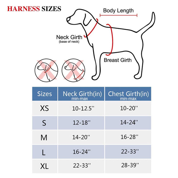 PoyPet No Pull Dog Harness